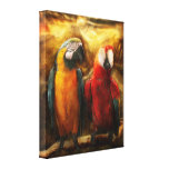 Animal - Parrot - Parrot-dise Stretched Canvas Prints