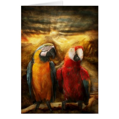 Animal - Parrot - Parrot-dise Card by suburbanscenes