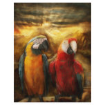 Animal - Parrot - Parrot-dise Full Color Flyer