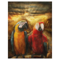 Animal - Parrot - Parrot-dise Full Color Flyer