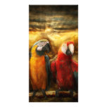 Animal - Parrot - Parrot-dise photo cards