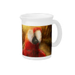 Animal - Parrot - Parrot-dise Pitchers