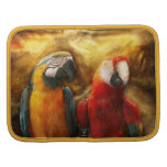 Animal - Parrot - Parrot-dise Organizers