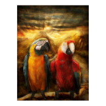 Animal - Parrot - Parrot-dise posters