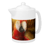 Animal - Parrot - Parrot-dise