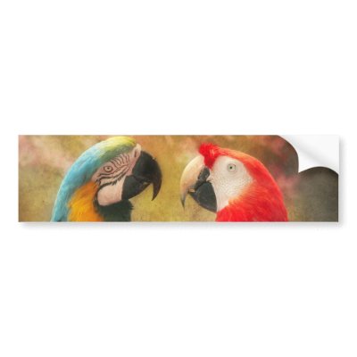 Animal - Parrot - We'll always have parrots Bumper Sticker by suburbanscenes