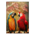 Animal - Parrot - We'll always have parrots Card