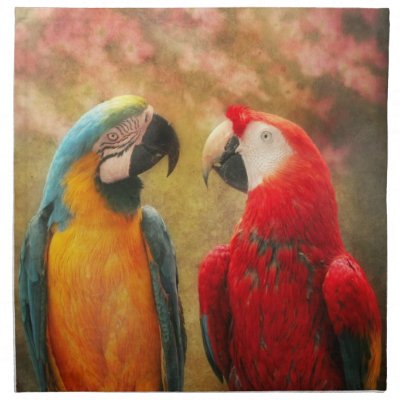 Animal - Parrot - We'll always have parrots Cloth Napkin by suburbanscenes