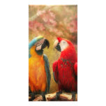 Animal - Parrot - We'll always have parrots photo cards
