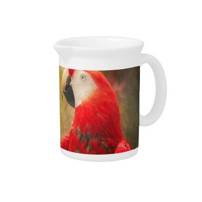 Animal - Parrot - We'll always have parrots Drink Pitcher by suburbanscenes