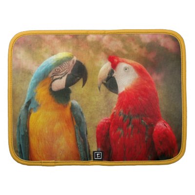 Animal - Parrot - We'll always have parrots Organizer by suburbanscenes