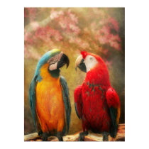Animal - Parrot - We'll always have parrots posters