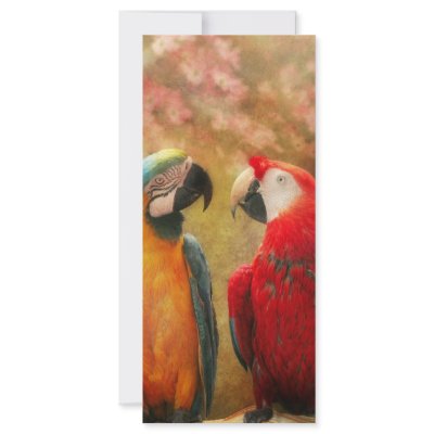 Animal - Parrot - We'll always have parrots Custom Rack Card by suburbanscenes