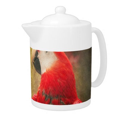 Animal - Parrot - We'll always have parrots by suburbanscenes