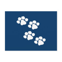 Animal Paw Prints Post Card