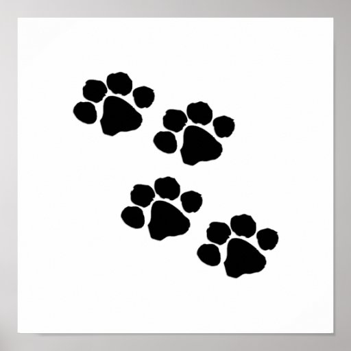 Pets Paw Prints Art and Posters Personalized