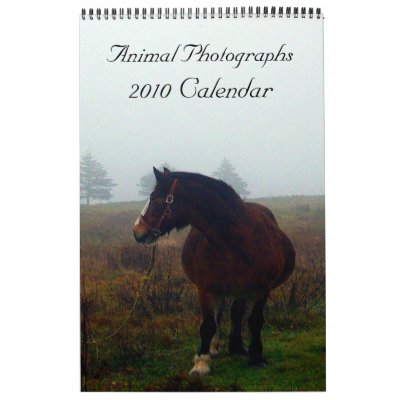 Animal Photographs, 2010 Calendar by CreatureCreations
