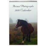 Animal Photographs, 2010 Calendar
