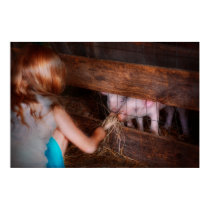 Animal - Pig - Feeding piglets posters