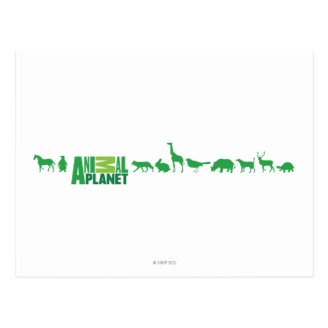Animal Planet Animals Postcard