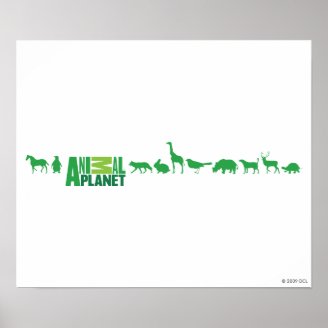 Animal Planet Animals Poster