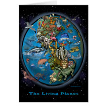 Animal Planet cards