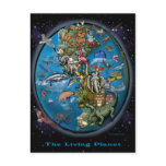 Animal Planet Postcards