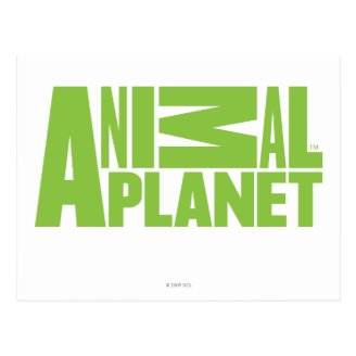 Animal Planet Postcard