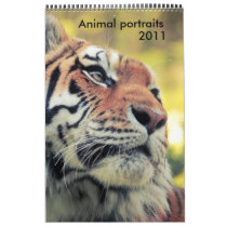 Animal portraits 2011 calendar