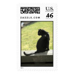 Animal Postage Stamps stamps