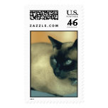 Animal Postage Stamps stamps