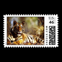 Animal Print Postage stamps