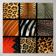 Animal Prints - 1 print