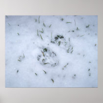 Animal Prints in the Snow Poster