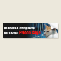 Animal Prison Bumper Sticker bumper stickers