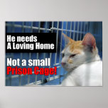 Animal Prison Cage posters
