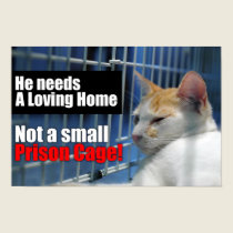 Animal Prison Cage posters