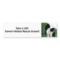 Animal Rescue - anti-cruelty bumper stickers by patsarts Animal Rescue - anti-cruelty bumper stickers