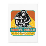Animal Rescue Chimpanzee Post Cards