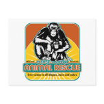Animal Rescue Chimpanzee Post Cards