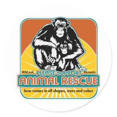 Animal Rescue Chimpanzee Sticker by RescueAnimals