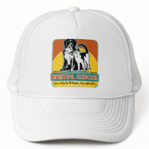 Animal Rescue Dog and Cat Mesh Hats