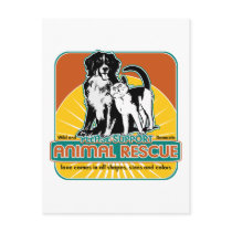 Animal Rescue Dog and Cat Postcards
