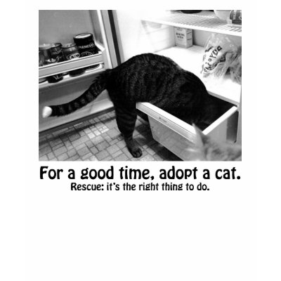 Animal Rescue: For A Good Time, Adopt A Cat T Shirt