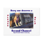 Animal Rescue Postcard