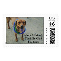 Animal Rescue Series postage by Paws_4_A_Cause Animal Rescue Series postage