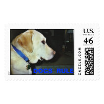 Animal Rescue Series postage by Paws_4_A_Cause Animal Rescue Series postage