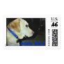 Animal Rescue Series