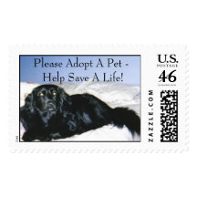 Animal Rescue Series Stamps