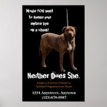 Animal Rights  Adoption and Rescue Posters